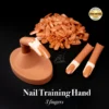 TRAINING HAND